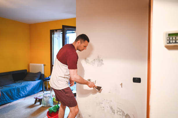 Best Residential Mold Removal  in Bethel, AK