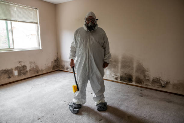 Best Crawl Space Mold Removal  in Bethel, AK